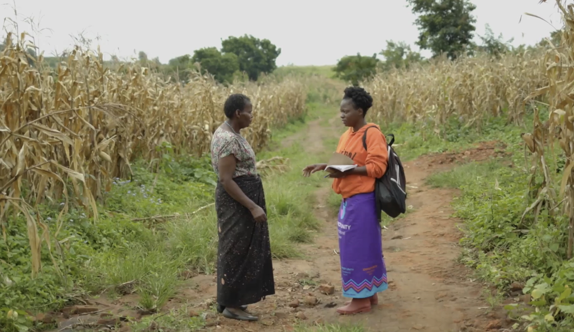 Two women stand on a dirt path between dry cornfields, one holding a notebook and wearing a backpack, engaging in conversation.